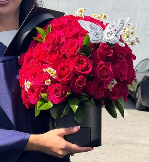 Grad's Bundle