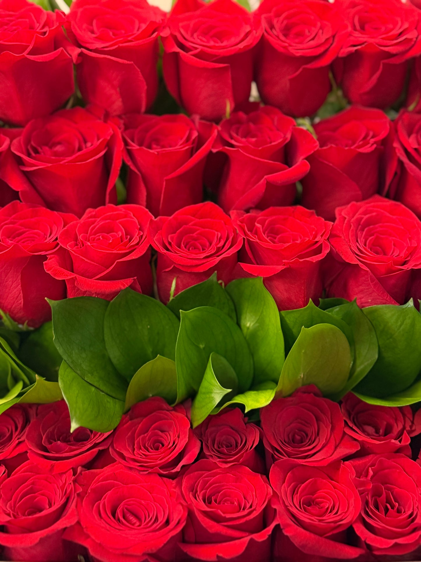 Royal Box - Tiered Love