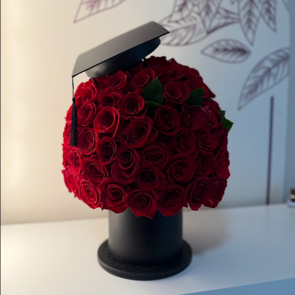 Grad's Bundle